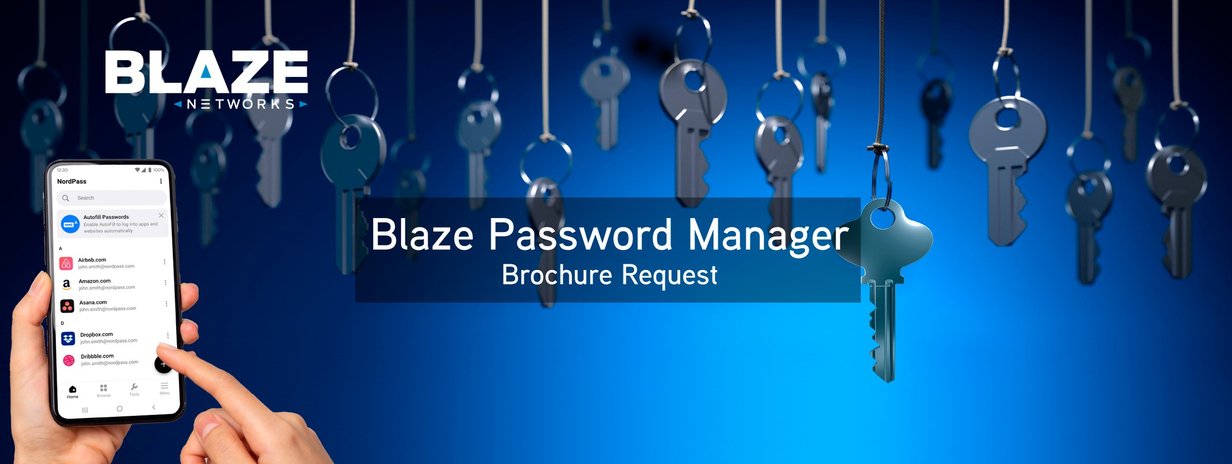 Blaze Password Manager brochure request